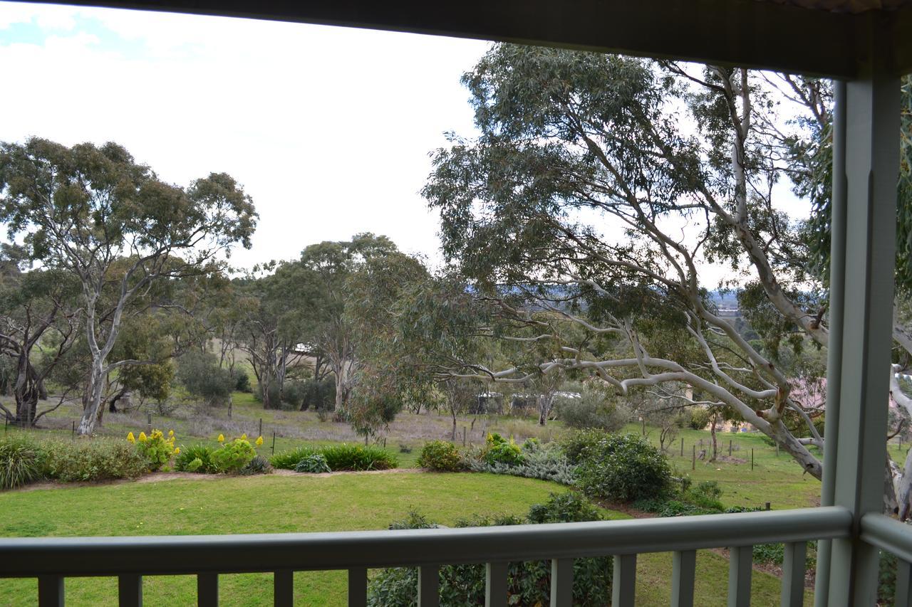 Angaston Saleyards Luxury Accommodation Exterior foto